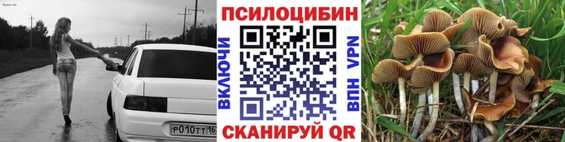 Псилоцибиновые грибы MAGIC MUSHROOMS Гатчина