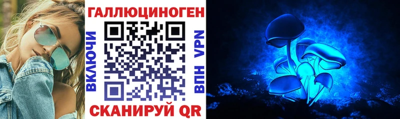 Галлюциногенные грибы Psilocybe  Купить  Гатчина 